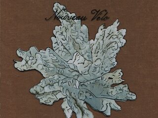 Nouveau Vélo in 3voor12 Radio