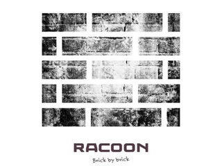 'Brick By Brick' van Racoon is 3FM Megahit!