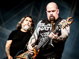 Slayer redt zwerfkatje