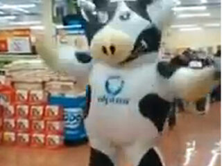 Dansende koe gaat helemaal los in de supermarkt