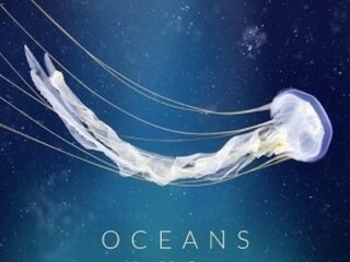 Me & Mr. Jansen live bij B&W