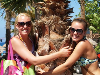 Wat ga jij doen na je eindexamen?