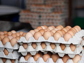 Aangepaasde programmering op Tweede Paasdag