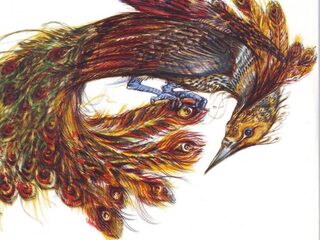 The Black Marble Selection waagde zich aan de Xnoizz 1uurService