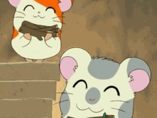 Ben jij ook zo happy?