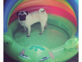 Kom maar door met die #summerselfie!