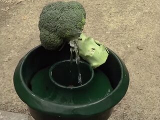 Na 'Drank & Drugs' snakken we naar groente en fruit