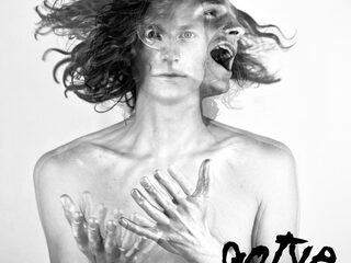 Waar zijn deze artiesten? Wij willen meer!