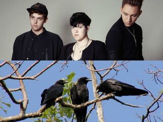 Artiesten en hun animal lookalikes