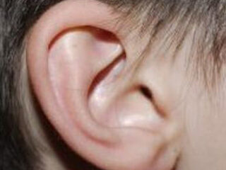 Nooit Grappig: Je ex-collega een oor aannaaien