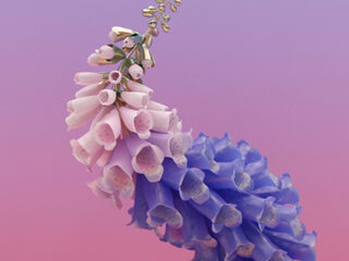 Flume's nieuwe album Skin is onwijs divers