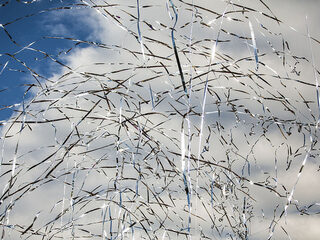 FEEST: 3FM.nl in een nieuw jasje