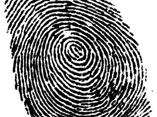 Gemaakt examen gestolen op Buitenhout College