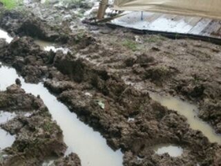 Festivalcampings Down The Rabbit Hole dag later open door slecht weer