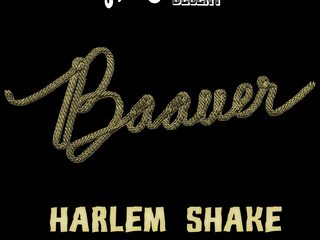 Baauer heeft geen cent verdiend aan 'Harlem Shake'