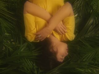 'Aloha': een zomerse Ver-Van-M'n-Bed-track