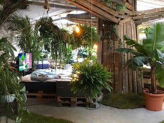 Ik ging naar de eerste Hangover Bar op aarde en het was hemels