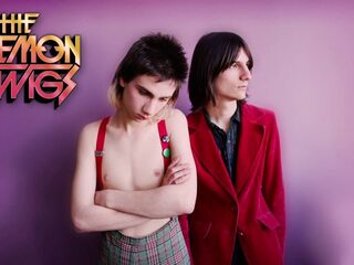 The Lemon Twigs: het onnavolgbare debuut van twee psych-tieners