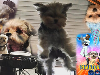 Phantogram (+ lief hondje) live bij 3FM