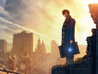 Harry Potter-fans opgelet: ‘Fantastic Beasts’ is er!