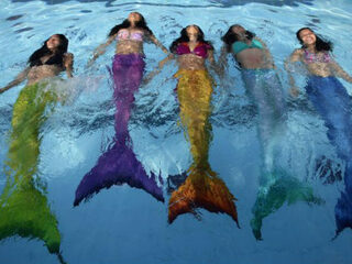 Wie zwemt er net zo goed als Ariël?