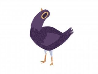 De headbangende paarse duif is het beste dat je ooit is overkomen