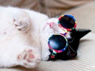 9 redenen waarom de lente de shit is