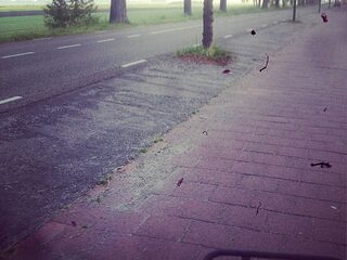 Sander kwam op de fiets naar 3FM