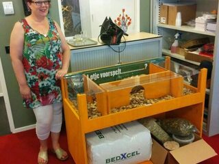 Coen en Sanders WKavia heeft een hok