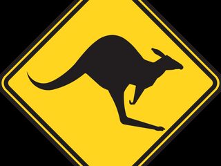 Home van Dotan nu met WK beelden