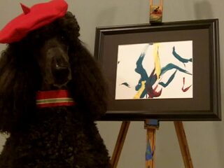 Riemband van Rhijn is Nooit Grappig