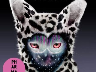 Je hebt 10 minuten om het hele album van Galantis te checken