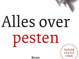 De vele vicieuze cirkels van pesten