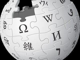 WAT?! Stond dit vroeger echt op de Wiki's van deze artiesten?