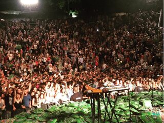 Tame Impala bekogeld met kussens