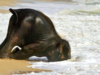 Baaldag? Het kan altijd erger.