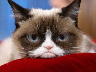 Test: heb jij last van een winterdip?