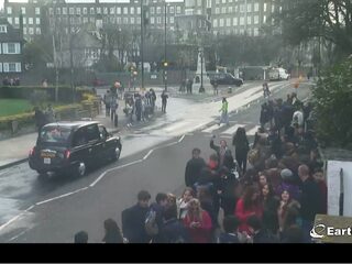 Dit zijn de beste livestreams op het internet