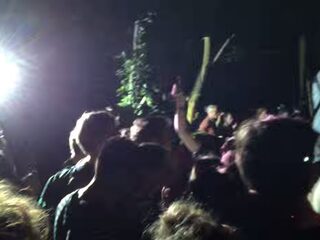 Een geheime bosrave in het konijnenhol