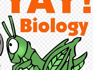 VMBO-ers! Biologie en Aardrijkskunde Examen? SchoolTV weet wat je moet weten!