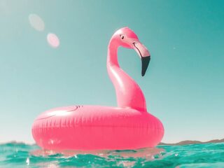 De grote zomerhit-quiz