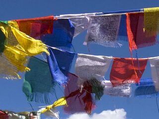 Deze mensen komen ook in actie. En wat voor actie!