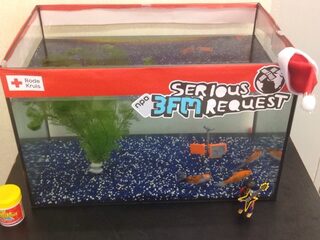 3FM Serious Request: de Glazen Kom