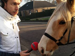 De avonturen van Mark+Rámon in het land