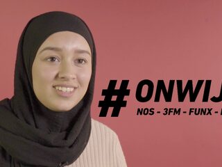 Is nepnieuws altijd fout?