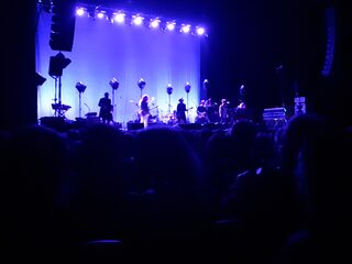 Lieke was bij de Britse folkrock band The Waterboys