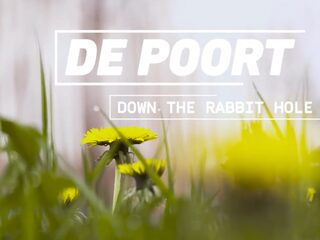 Zo ziet de nieuwe toegangspoort van Down The Rabbit Hole er uit