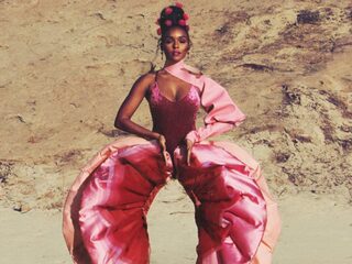 Deze pussy power-video voor Janelle Monae's 'PYNK' is echt fantastisch