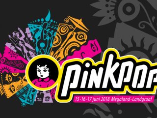 Busje rijdt in op Pinkpopgangers, verdachte aangehouden