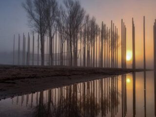 Waarom heeft DTRH dit jaar een nieuwe toegangspoort?